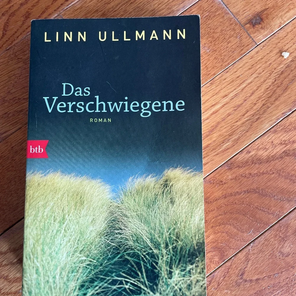 German Novel Das Verschwiegene Linn Ullmann